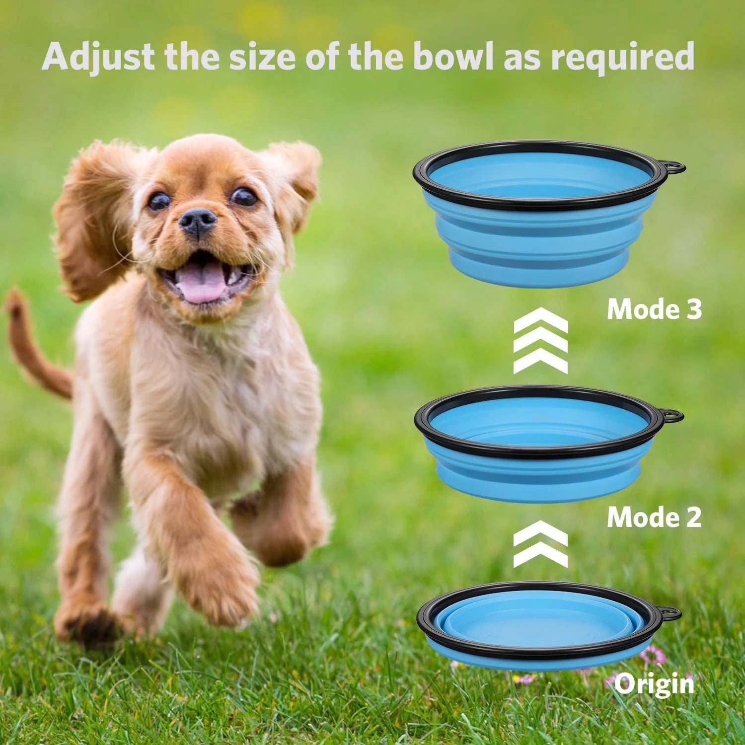 Collapsible Travel Pet Bowl| Expandable for Dog/Cat Food Water Feeding