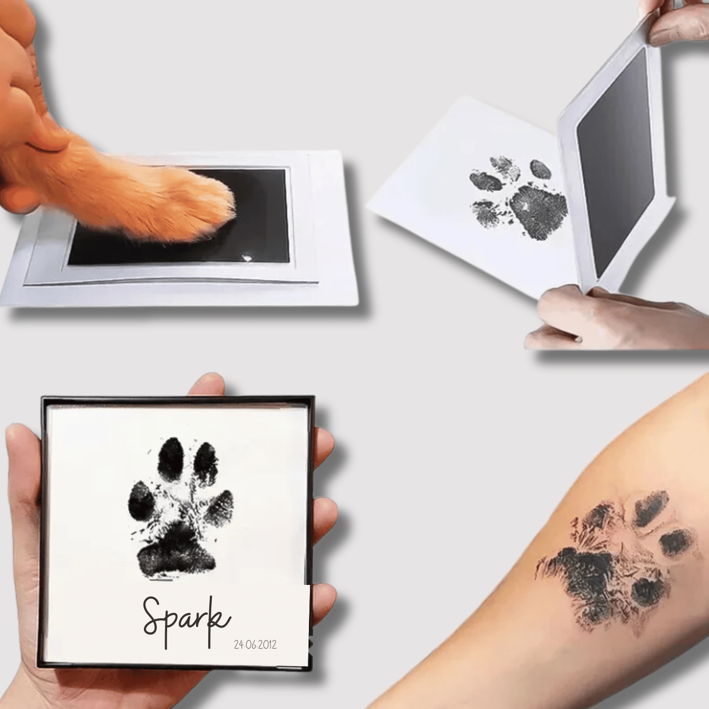 Paw Print DIY Kit - Perfect Pet Gift