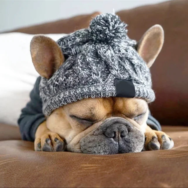 Knitted Dog Hat with Fluffy Pom-Pom